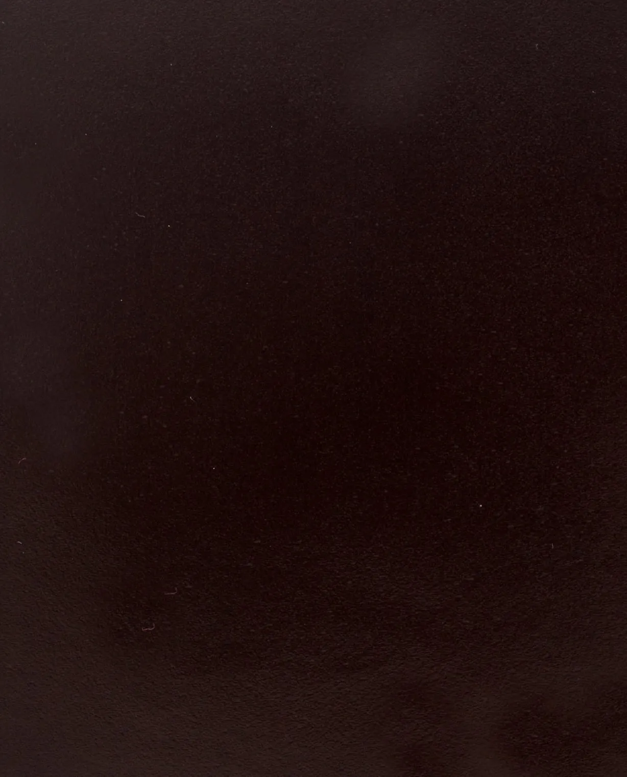 Dark Brown Polished Antique Calf Plain Tip Blake Flex Single Monk